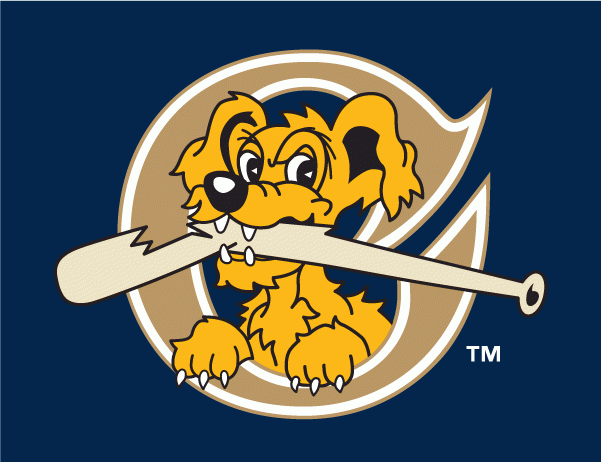 Charleston Riverdogs 2011-2015 Cap Logo 3 iron on paper